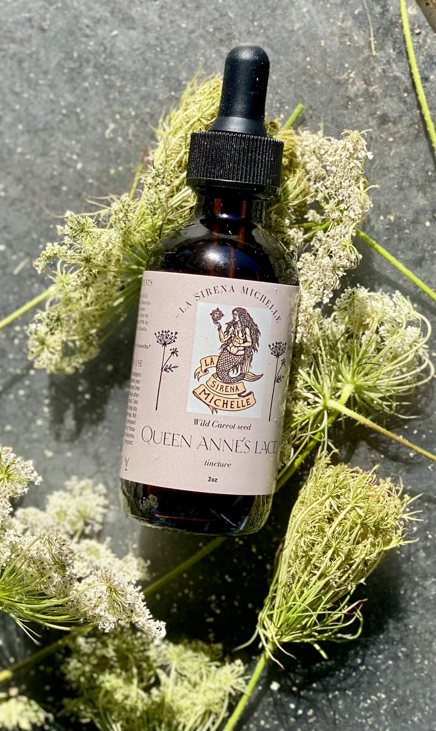 Queen Annes Lace seed Tincture