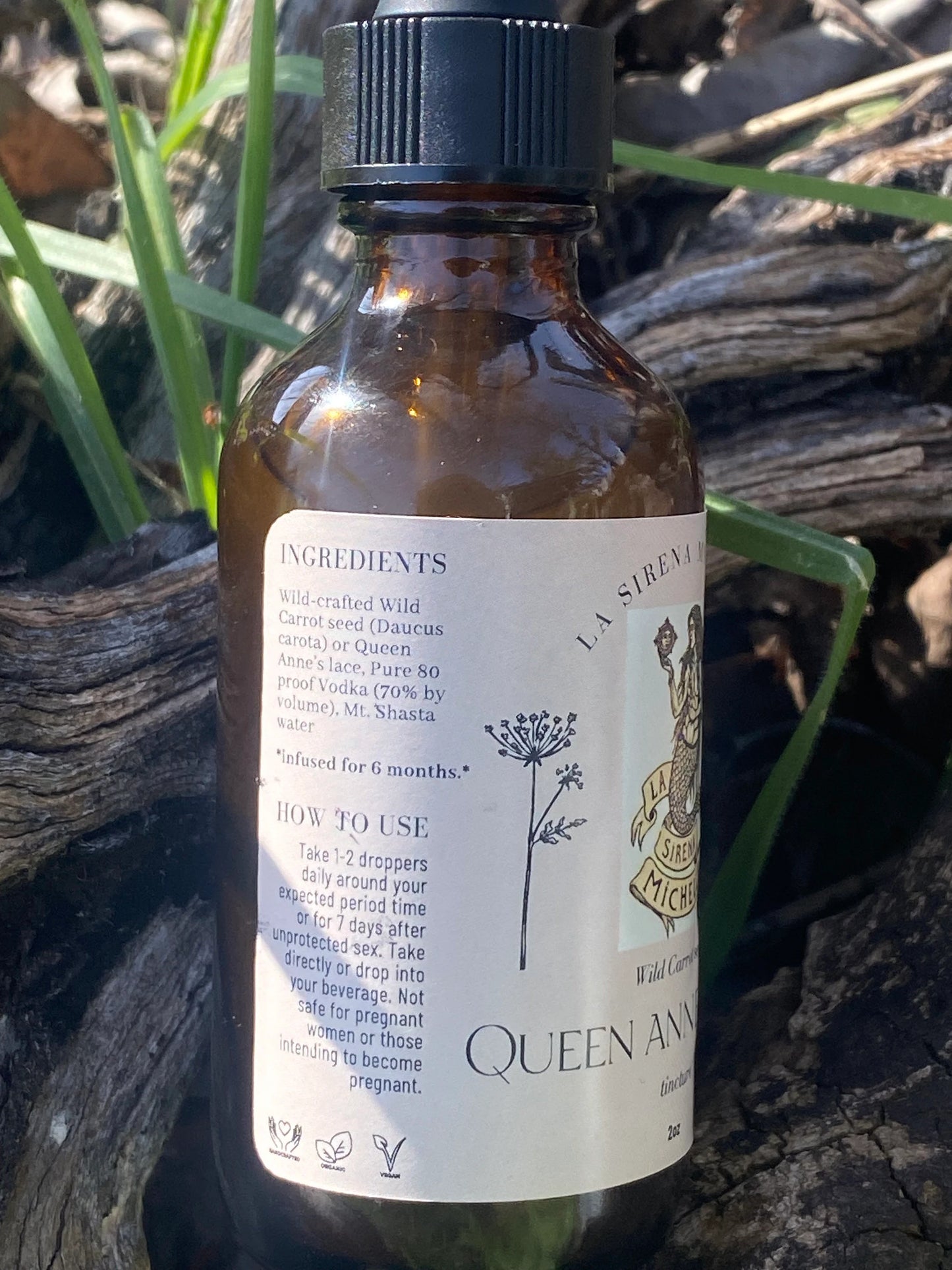 Queen Annes Lace Tincture