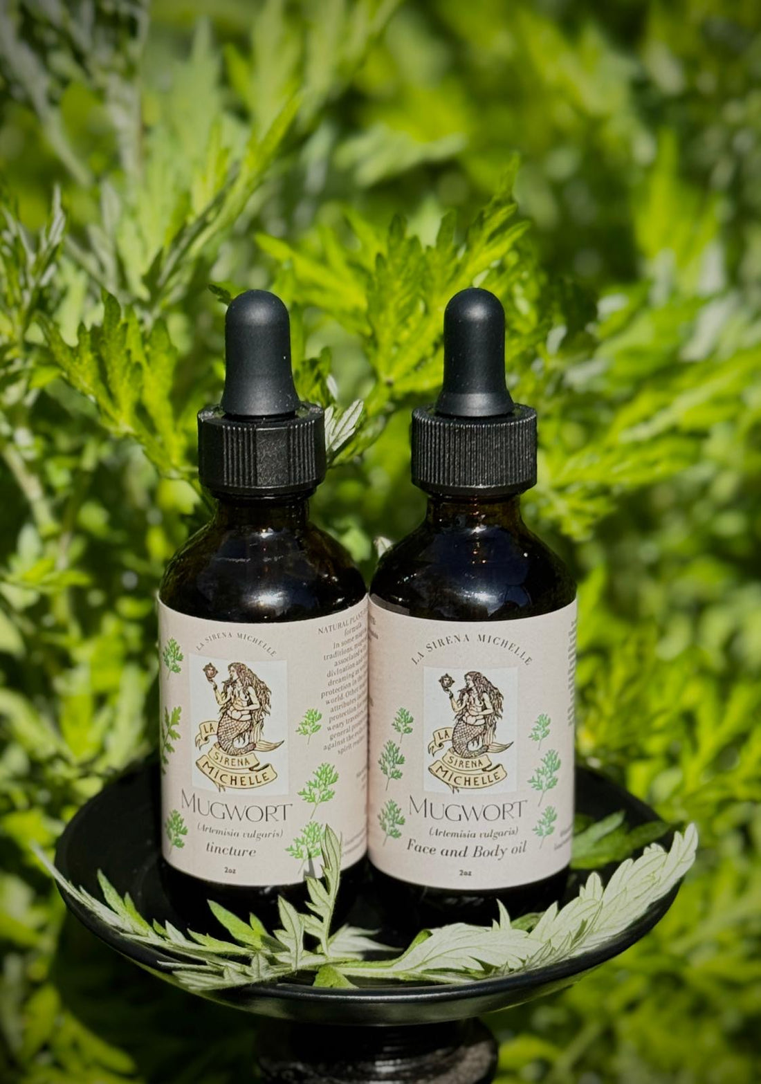 Mugwort: The Dream Herb of Ancient Healers