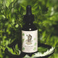 Mugwort Bundle