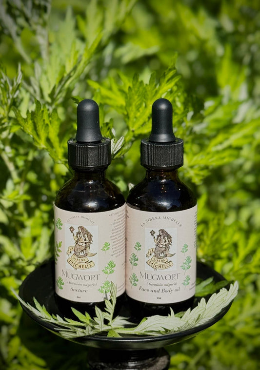 Mugwort Bundle