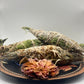 Handcrafted & Foraged Sage Juniper bundles