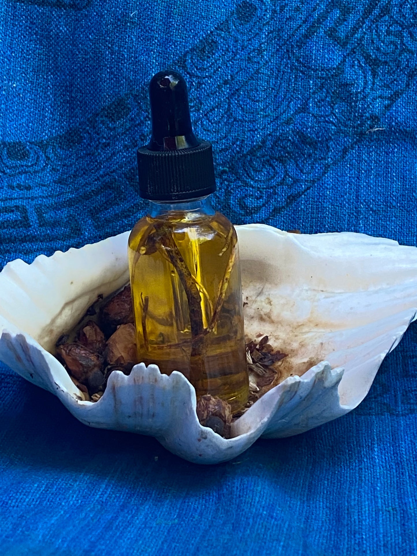 Devils Shoestring oil/protection, increase luck, invisibility, keep away evil, hoodoo