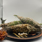 Handcrafted & Foraged Sage Juniper bundles