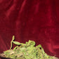Peach leaves (organic & local)
