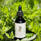 Mugwort Bundle
