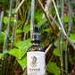 Horsetail Tincture