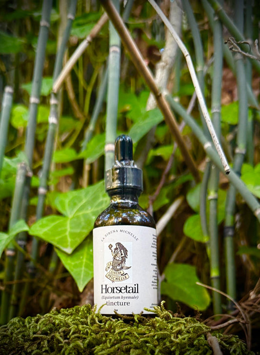 Horsetail Tincture