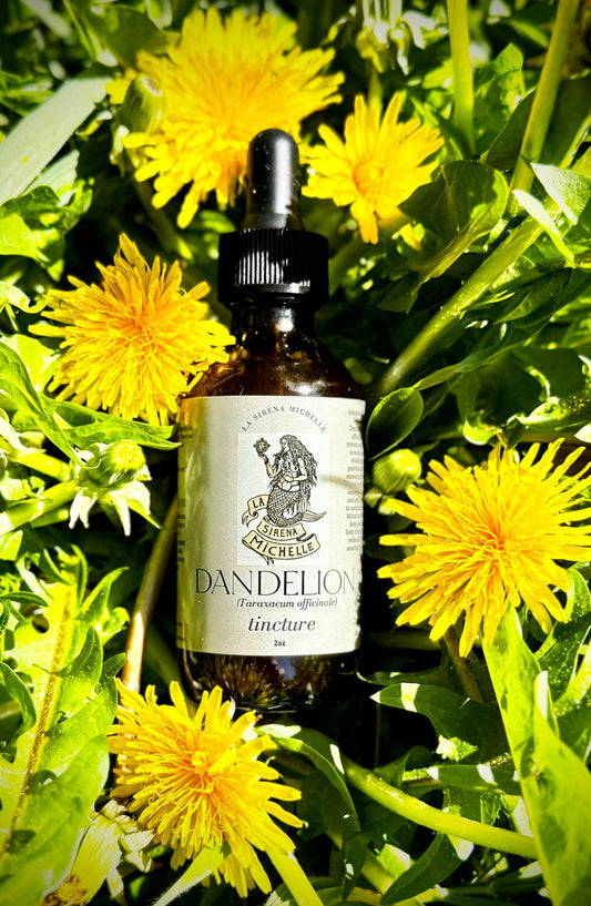 Dandelion Tincture