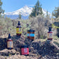 The Elemental Rebirth (hair restoration) Collection