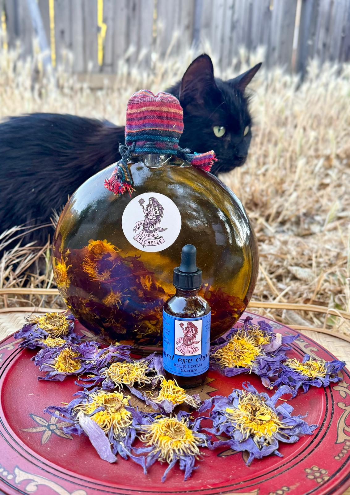 Blue Lotus Tincture (potent infusion)