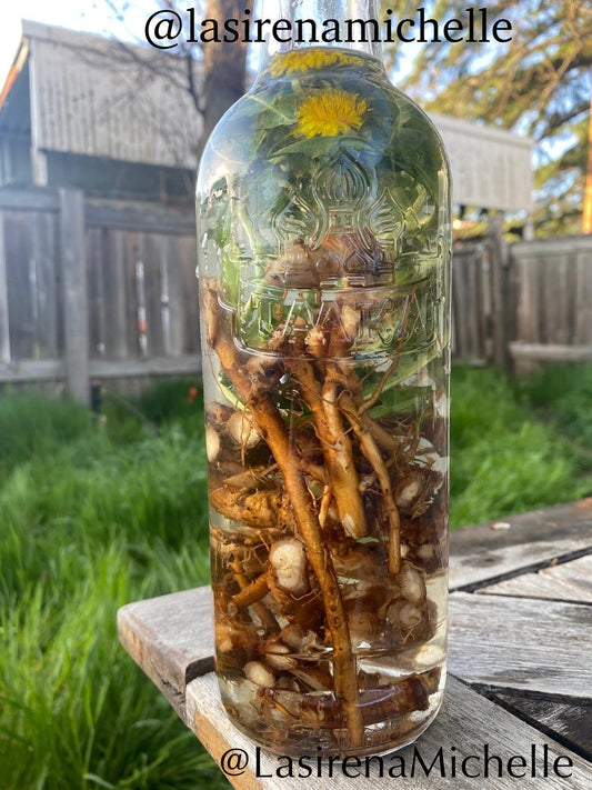 Dandelion Tincture