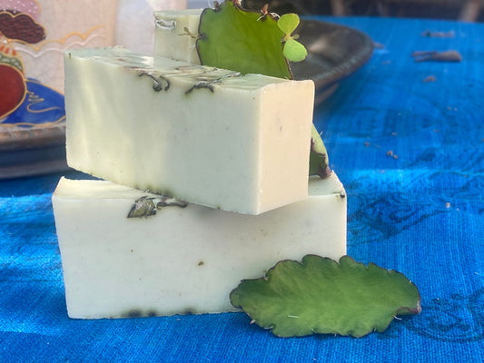 Miracle leaf soap